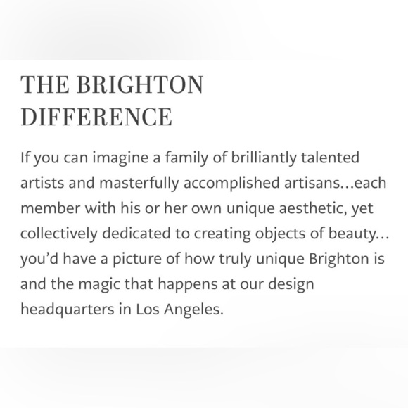 BRIGHTON leather crossbody, chain strap 💞 - Picture 8 of 10